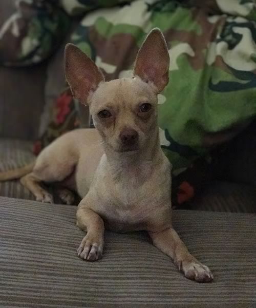 Lexy from Victoria Web Design